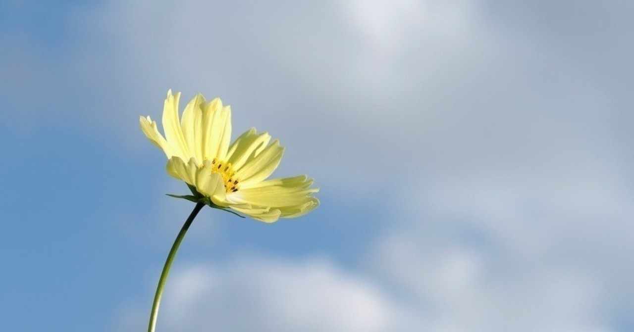 夢野幻太郎 蕚 の歌詞について1万字くらい解釈を語る サガタアマネ Note