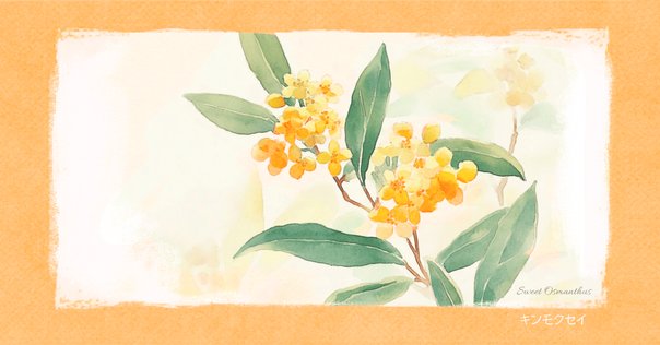 ほのかな秋の香りの中にも漂う「志村正彦」という存在＞フジ