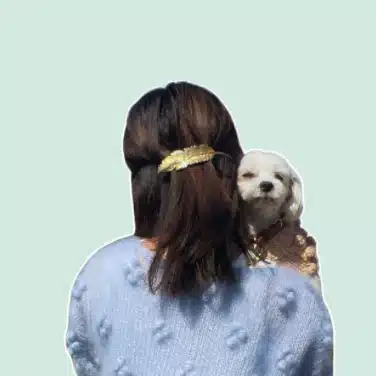 ユイじょり