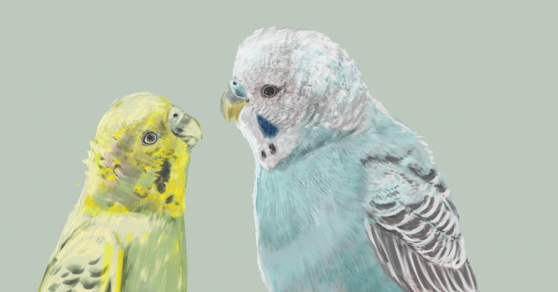 インコ　絵画 0_c5e11a7447af2c441b972657f2a8