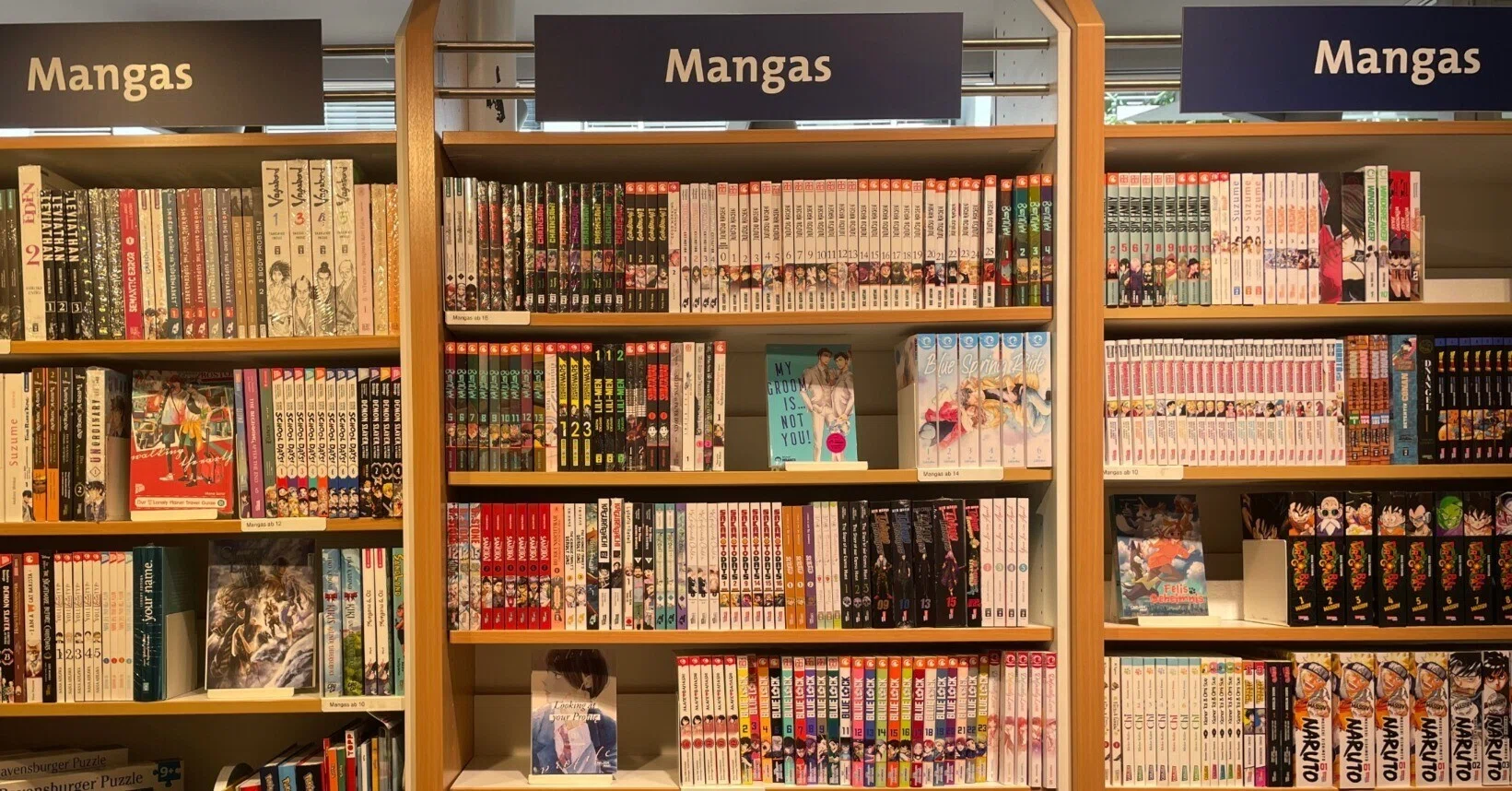 盛夏は緩やかな読書ー最近読んだ本｜Lunzi in UK