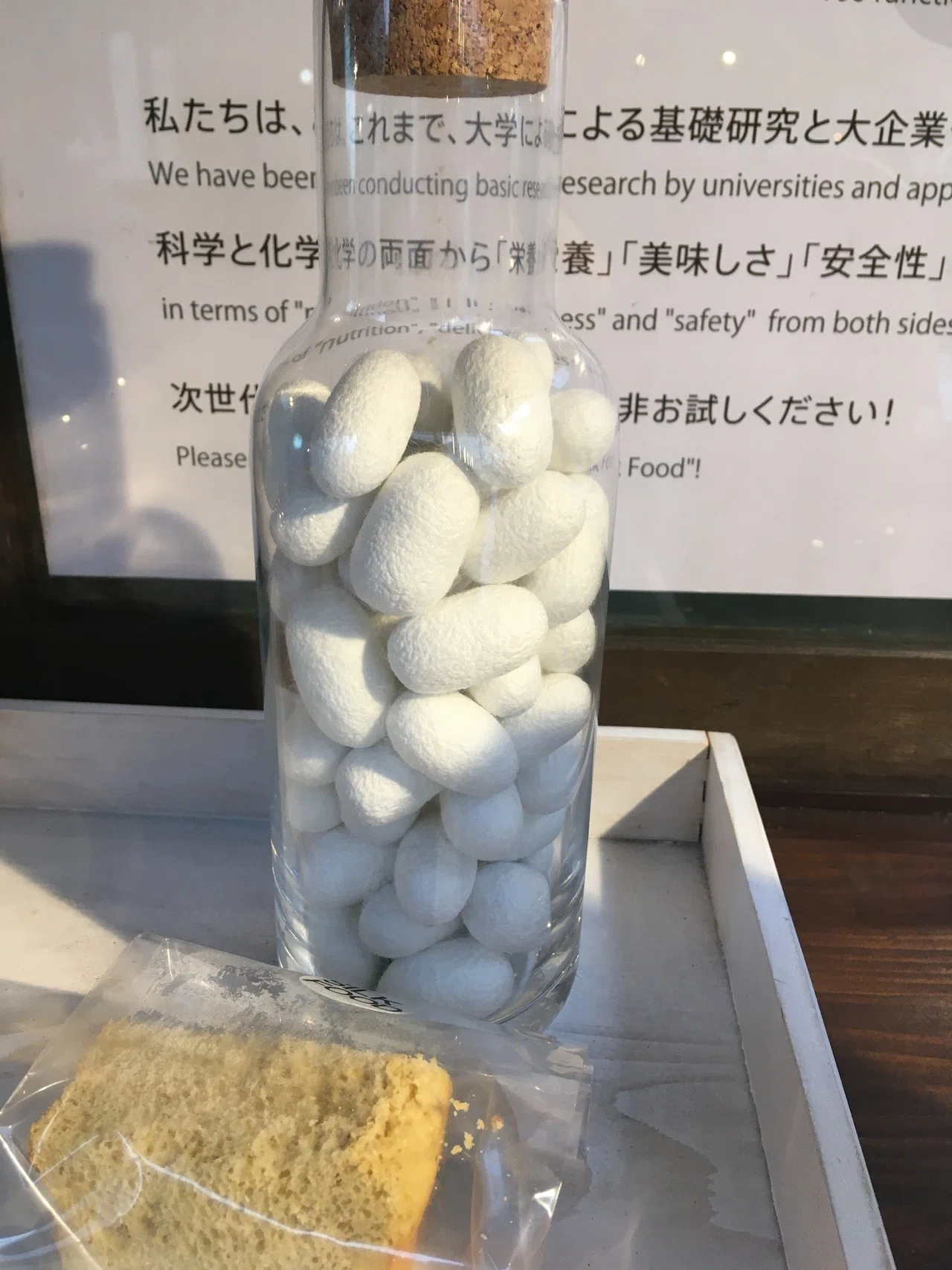 シルクワーム 蚕 ご飯 粉末タイプ1000g （蚕の餌） シルクワーム 蚕