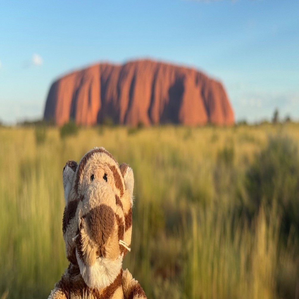 ニュージーランド・オーストラリア年越し旅行の行程【2024-2025年