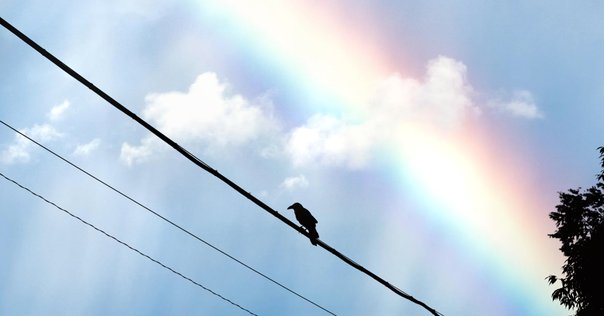 試し読み：『みんなではじめるデザイン批評』序文｜BNN