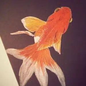 Shuhei