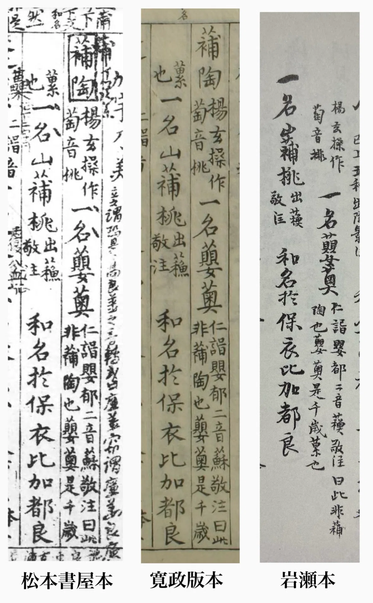全国漢語方言用字表稿 国字の字典』の「𮑱(艹＋補)」に関する雑考｜白玉庵