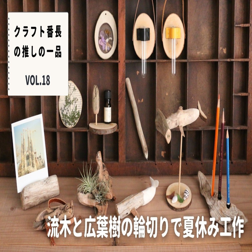 クラフト番長の推しの一品：流木と広葉樹の輪切りで夏休み工作｜美術