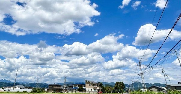 司法書士 コネクト記述式基礎演習講座 4冊セット 2025年合格目標 コネクト記述式 基礎演習講座 | 対策講座案内