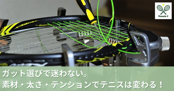 王者（ジョコビッチ）のラケット：スピード（HEAD） | #12