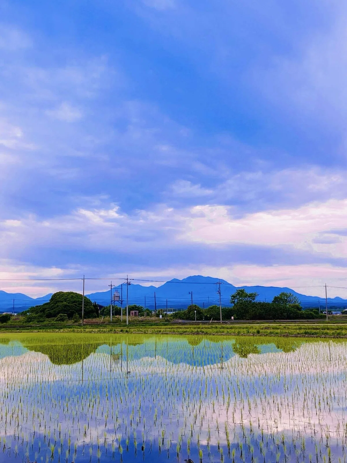 静かな場所に美しさと安らぎを感じる。心が癒される風景。|ねむたいねこ