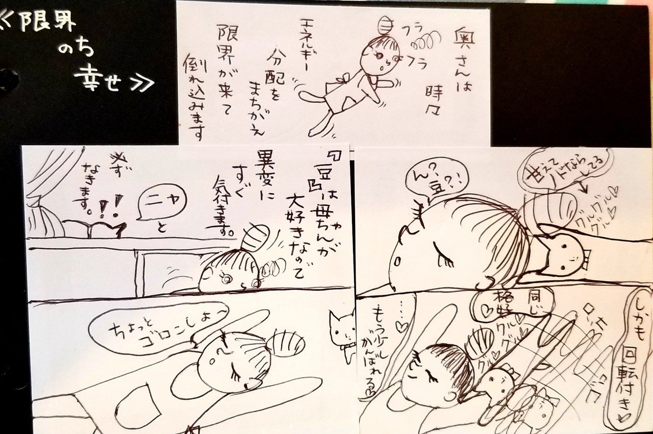 非言語コミュニケーション あいるひな Note