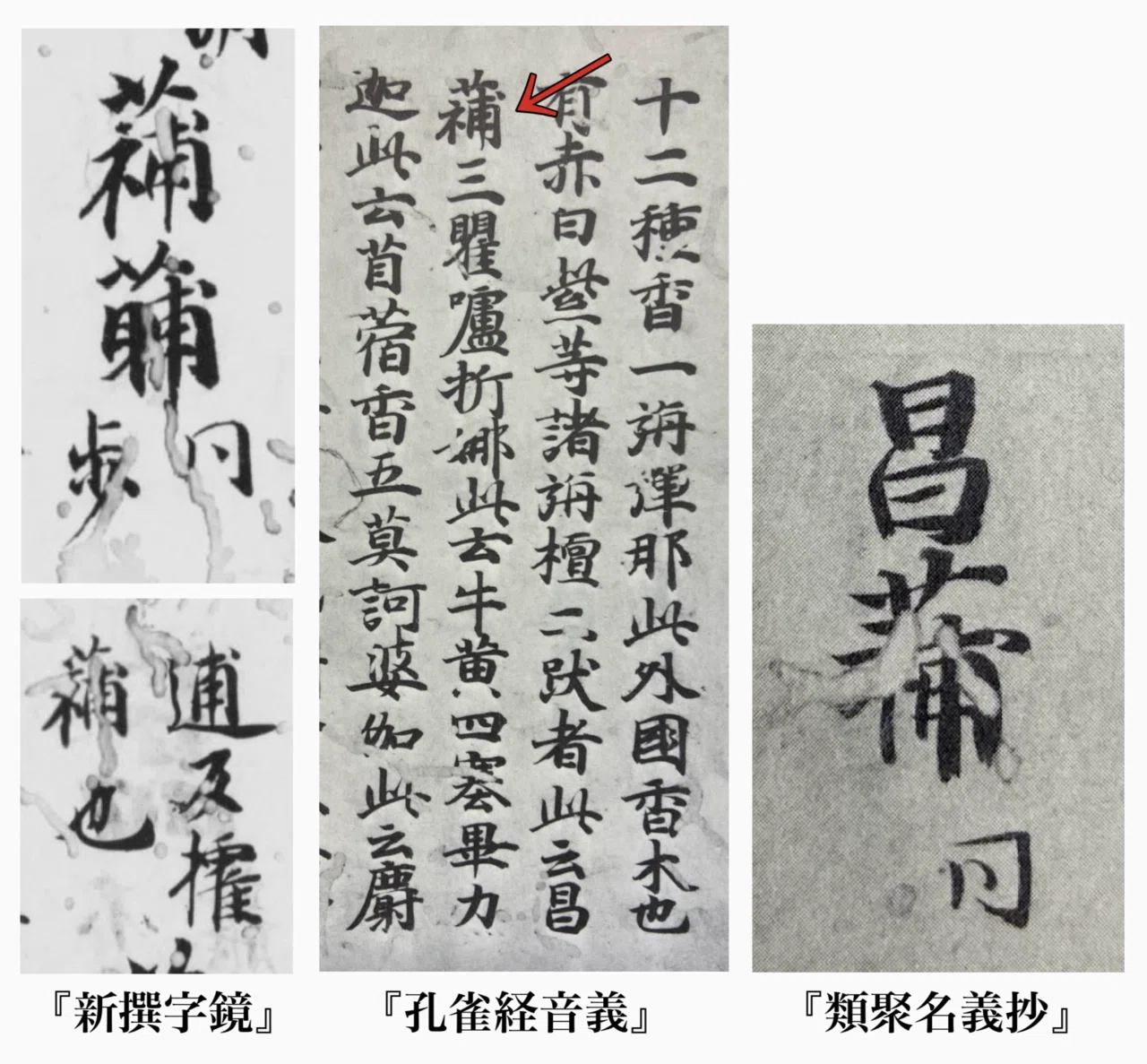 国字の字典』の「𮑱(艹＋補)」に関する雑考｜白玉庵