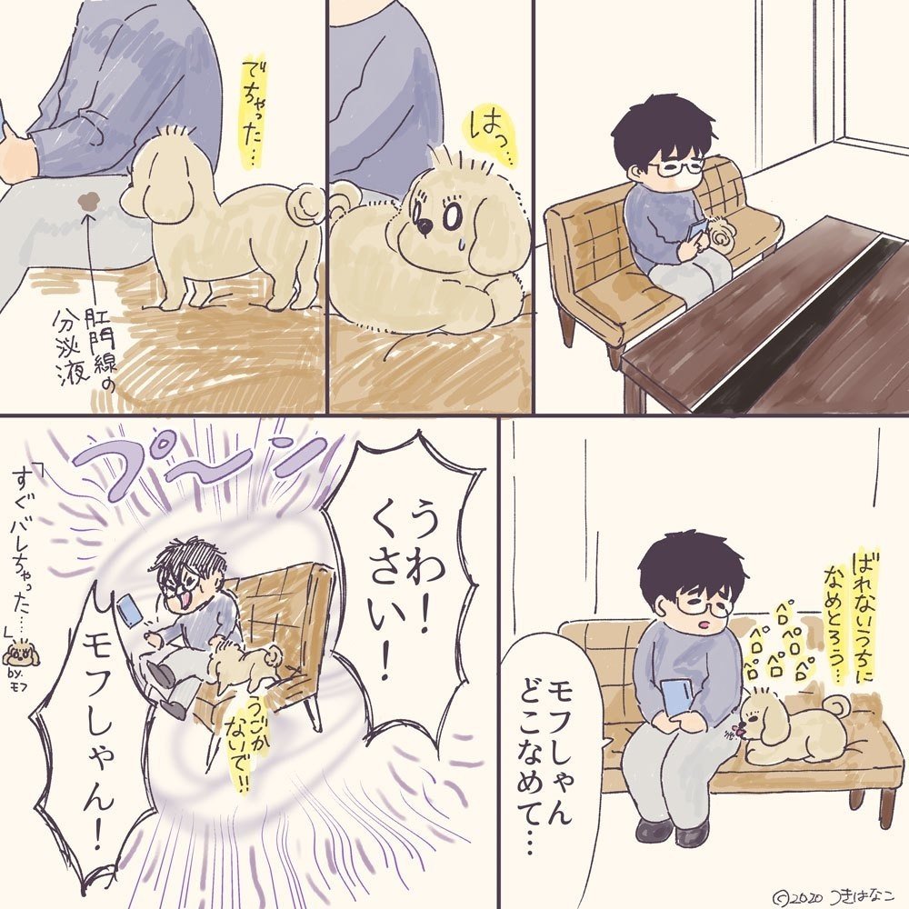 犬飼いあるある 肛門腺の事故 つき はなこ Note 犬飼いあるある 肛門腺の事故 つき はなこ Note