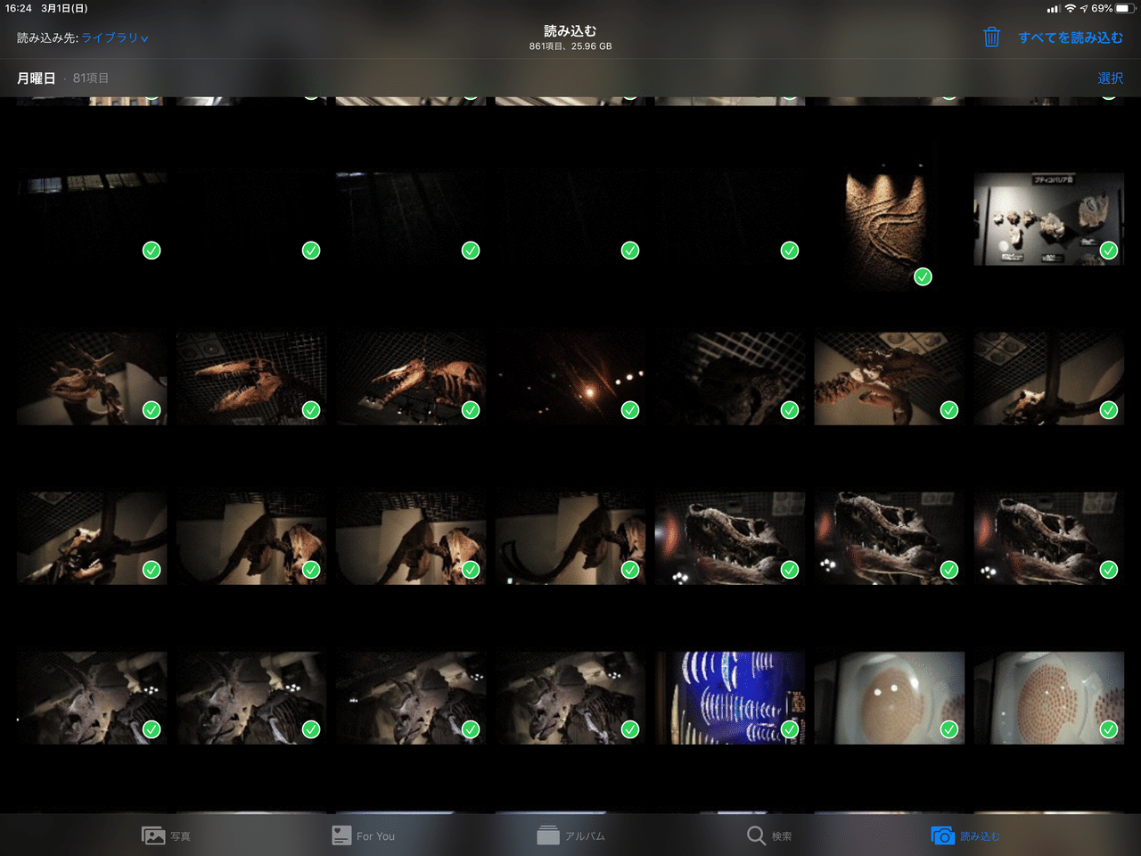 iPad中心の写真管理・現像術|exilias/石井晃|note