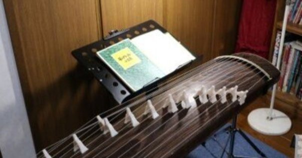 PLAYTECH ( プレイテック ) PFM10F　フラットマンドリン PLAYTECH ( プレイテック ) PFM10F Fスタイルフラットマンドリン