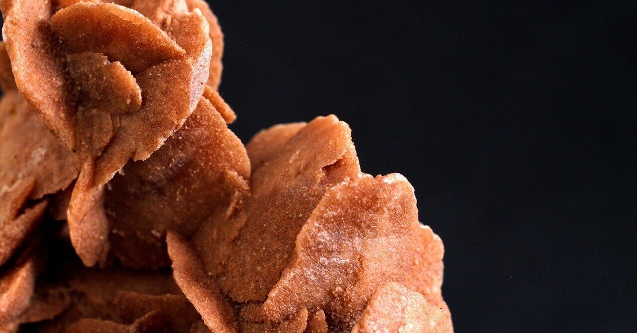 Desert Rose あるいは 砂漠の薔薇｜Desert Rose