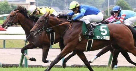 2025👑7👑12《土》【👑特SSS🐴激アツ万券勝負レース👑】🔥小倉
