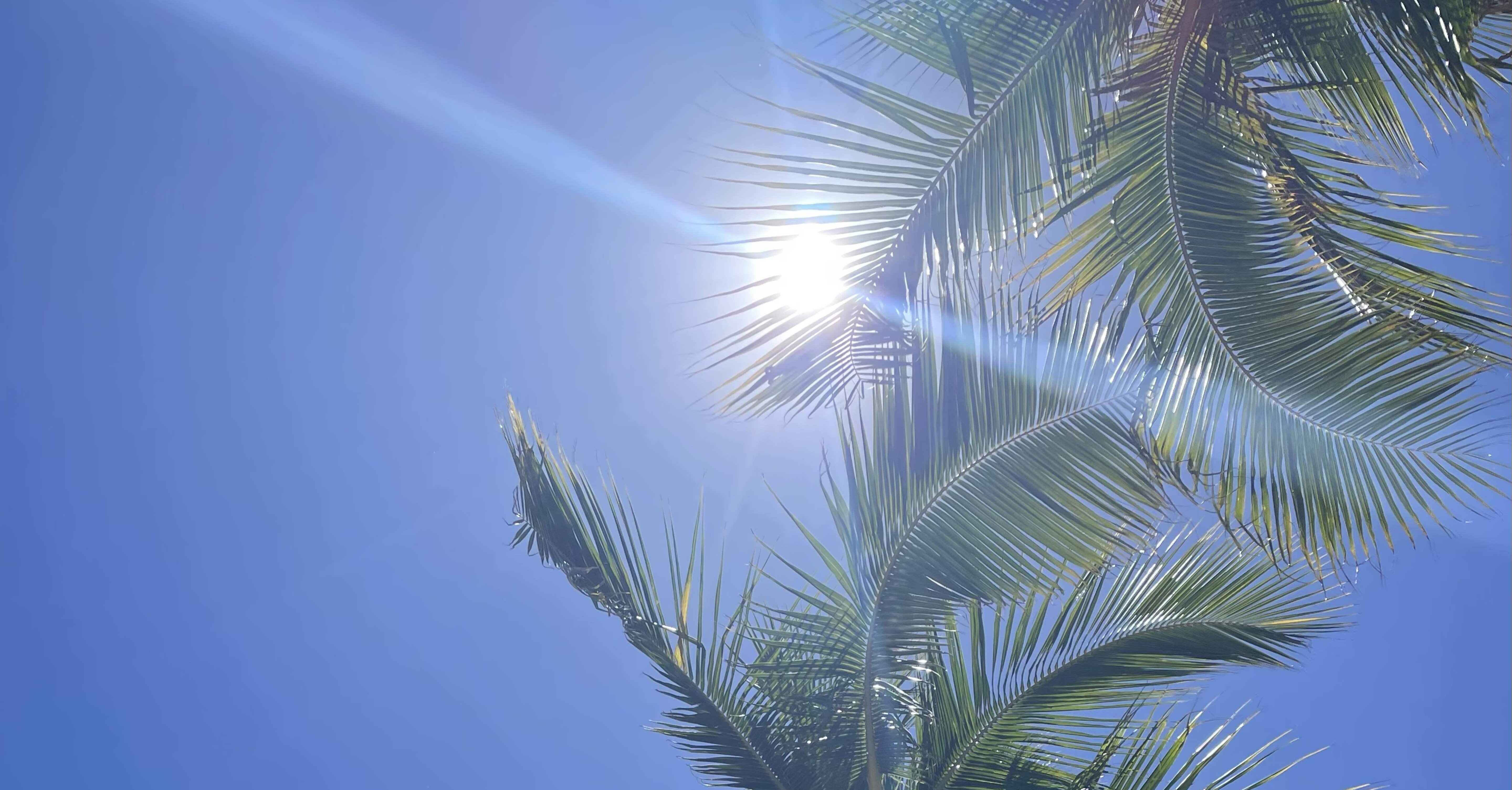 マウイ在住おすすめ！マウイ島で絶対してほしい自然体験5つ｜Kazue. yogi with aloha!, image size:5760x3012