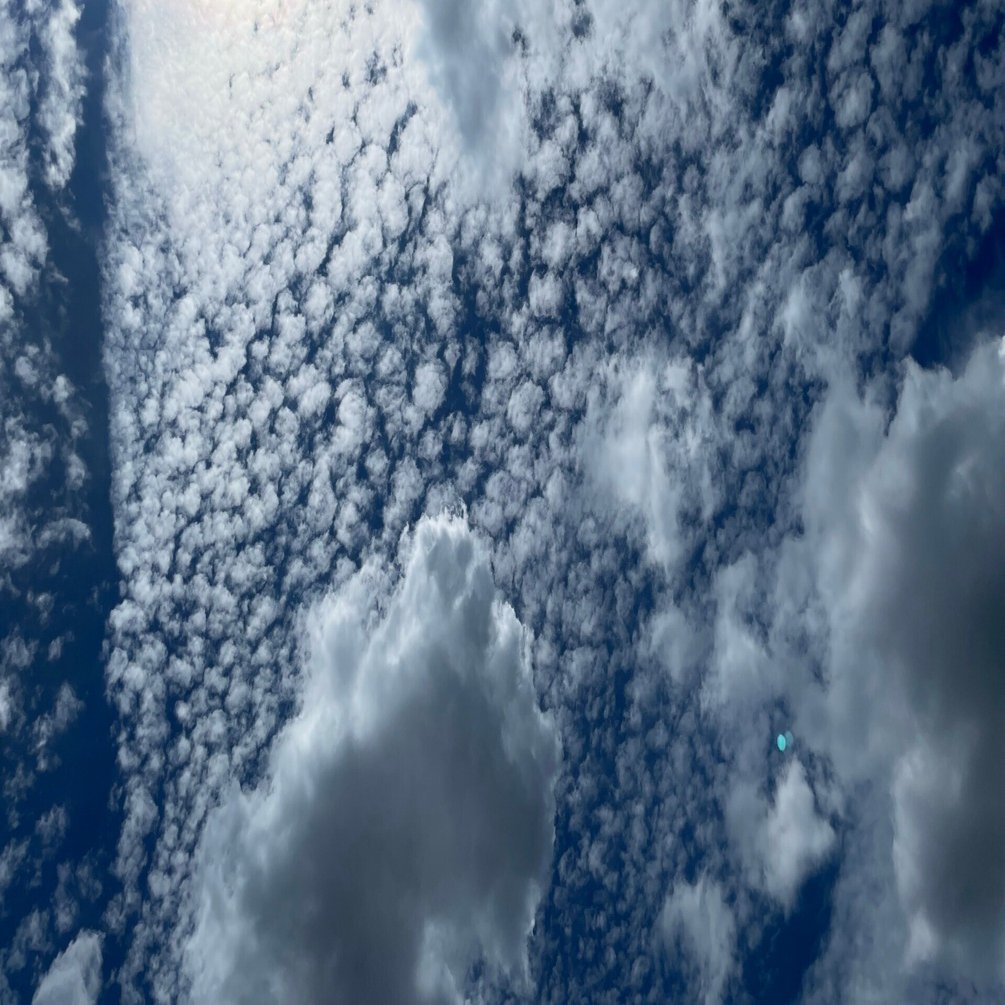 2025年7月10日 夏の雲｜ExportControl