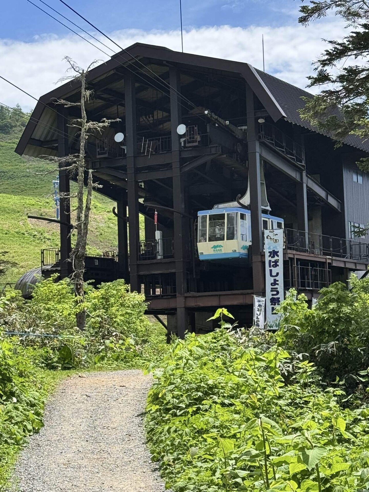 2025年版〉栂池自然園 水芭蕉まつり完全ガイド〜見どころ＆持ち物
