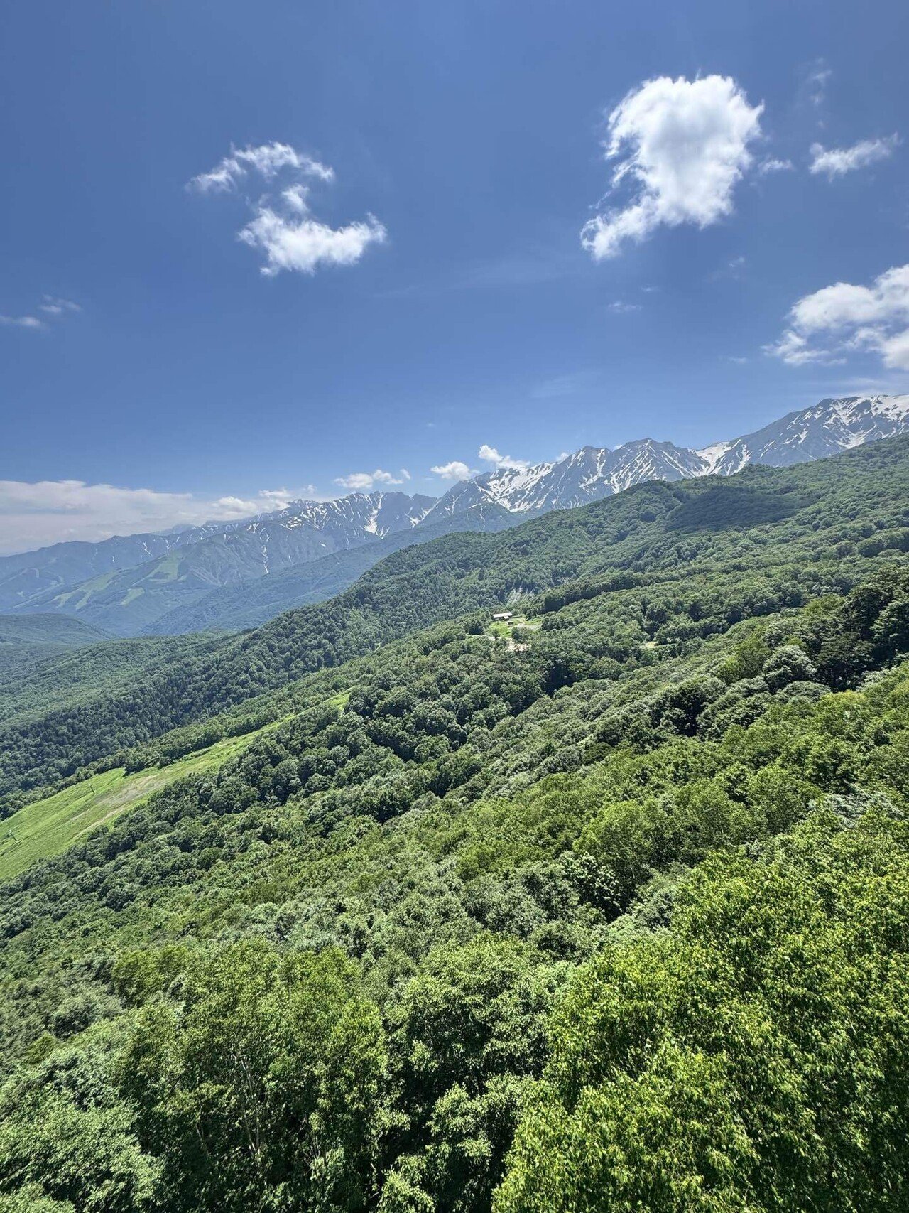 2025年版〉栂池自然園 水芭蕉まつり完全ガイド〜見どころ＆持ち物