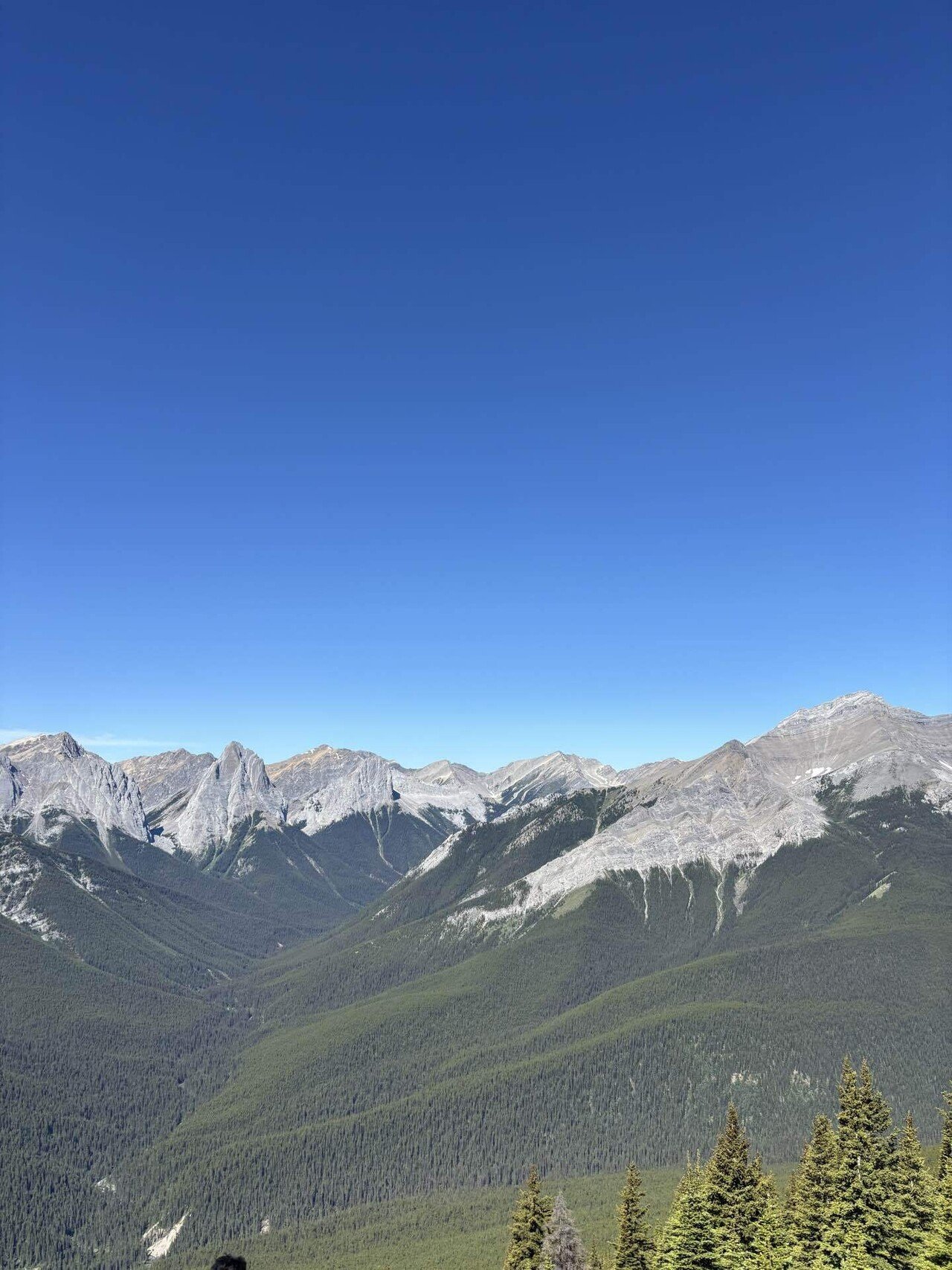 Cascade Mountainハイキング #15｜yota