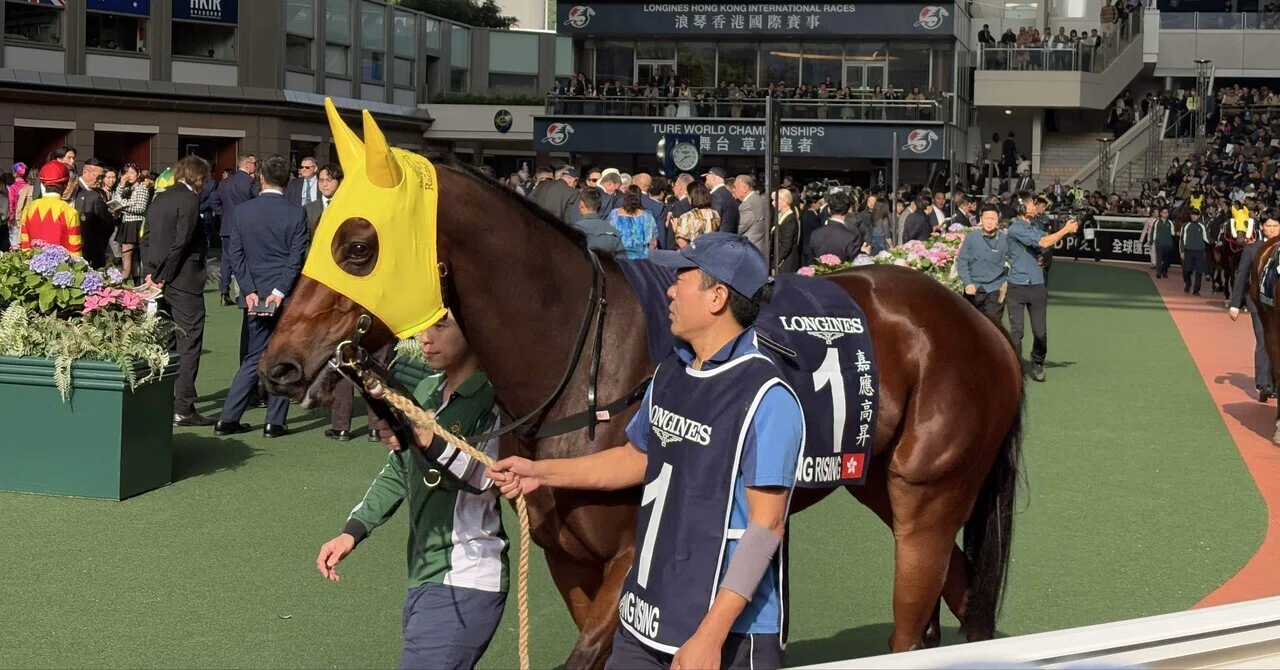 香港馬王はカーインライジング！（📻あり）｜稲庭うどん