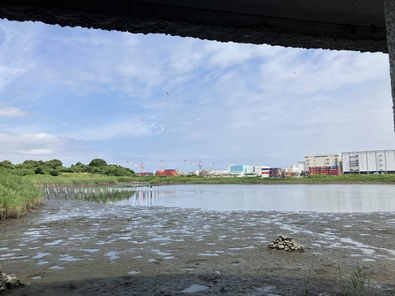 再び野鳥公園でプチワーケーションしてきました｜keita