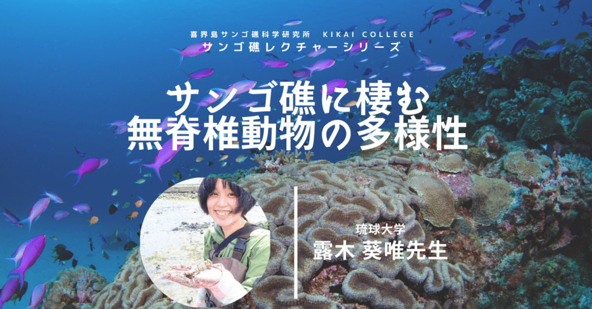 海産無脊椎動物多様性学 100年の歴史とフロンティア 海産無脊椎動物多様性学: 100年の歴史とフロンティア | 京都大学