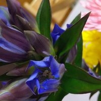 ヒプマイキャラの名前について考察する 及川 おいかわ Note