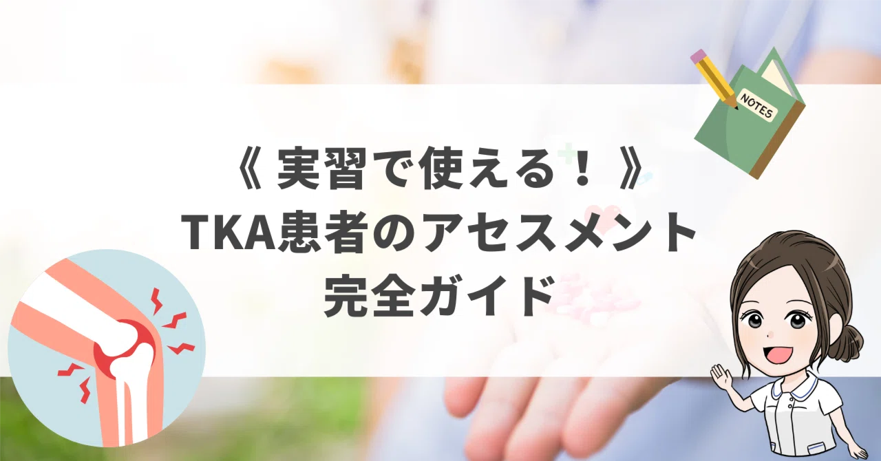 実習で使える!TKA患者のアセスメント完全ガイド🦵✨|看護師 実習で使える!TKA患者のアセスメント完全ガイド🦵✨|看護師