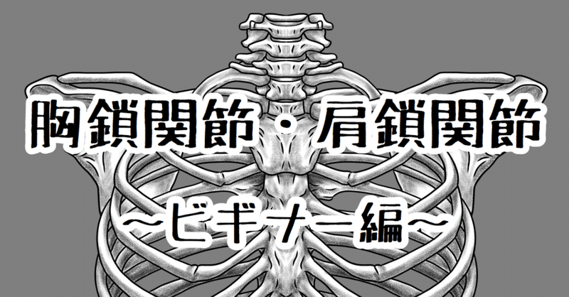 胸鎖関節 肩鎖関節 ビギナー編 たくみロドリゲス 運動器理学療法士 Note