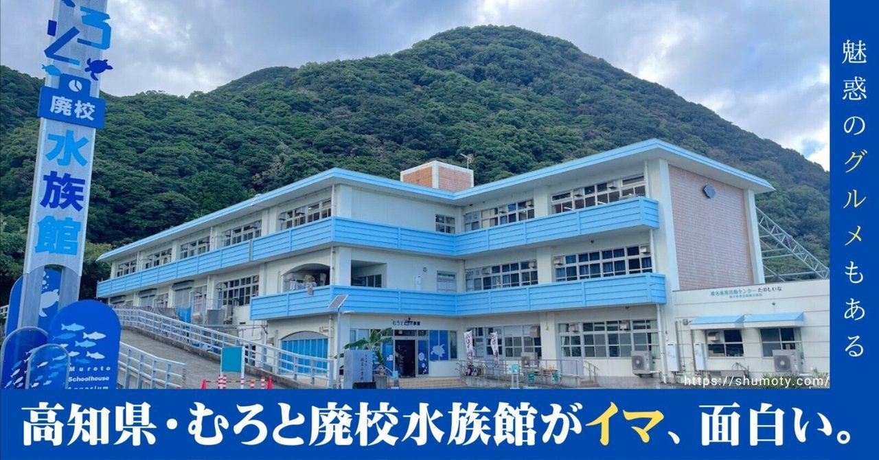 水族館学 : 水族館の発展に期待をこめて Amazon.co.jp: 水族館学: 水族館の発展に期待をこめて (東海大学