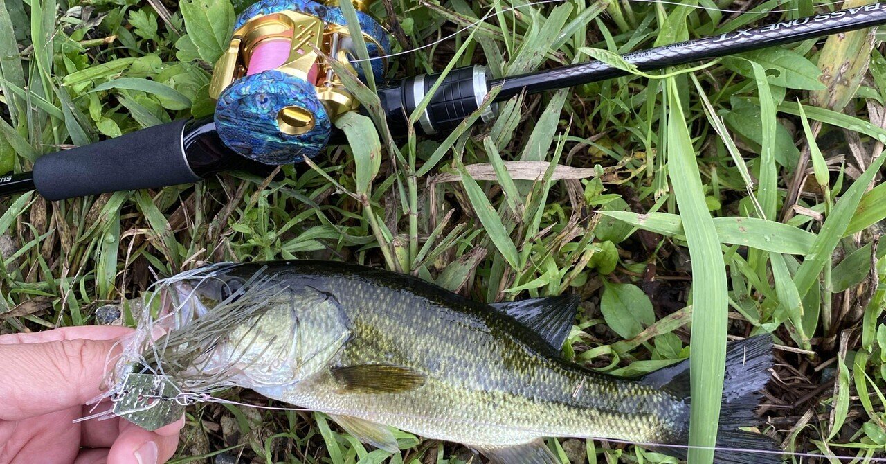 ネイトベイト　Line Through Trout12インチ 入荷速報】Nate's Baits「12インチ Line Through Trout」登場