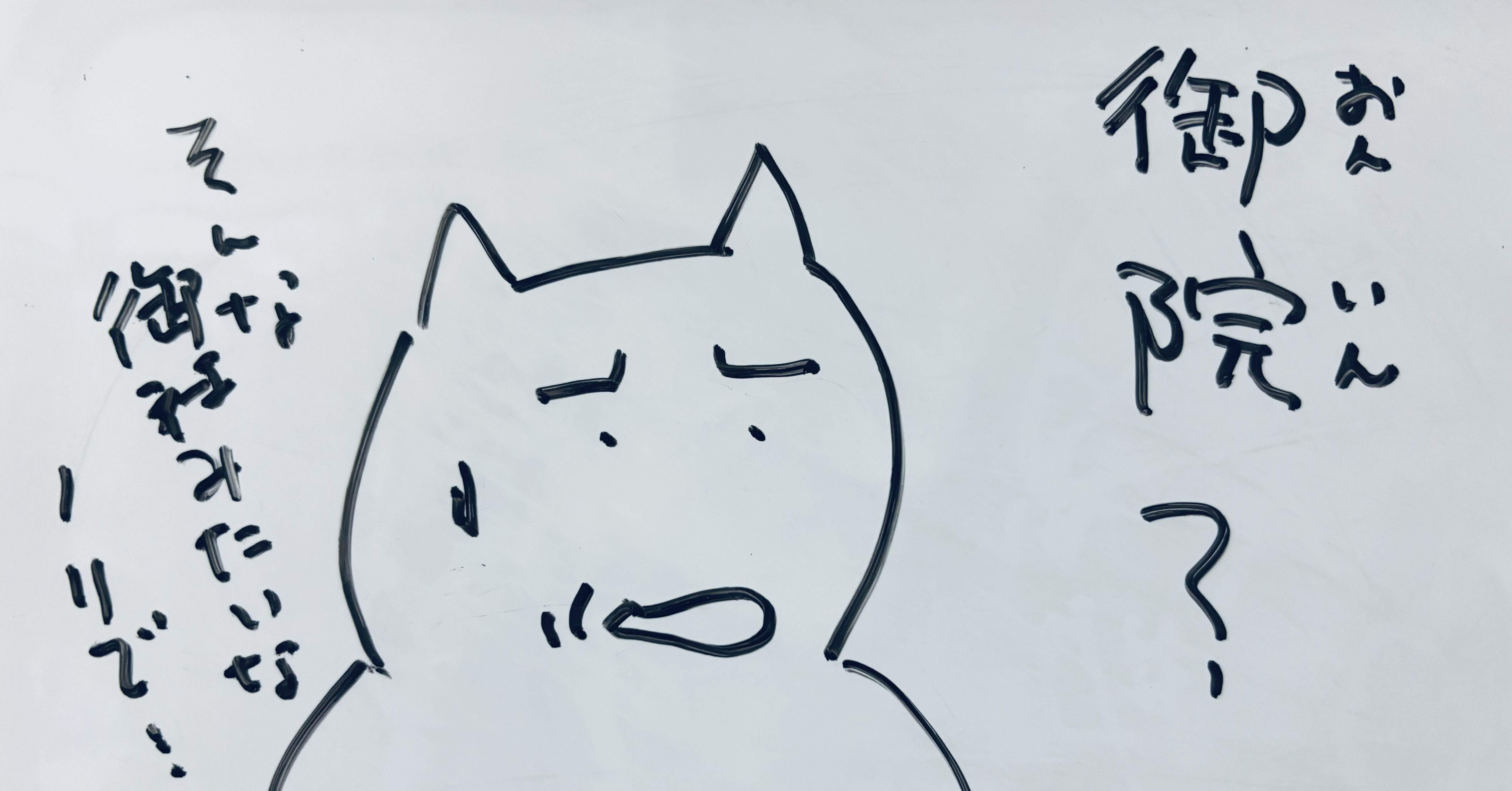 20250712 今日も1日、｜港キラねこ