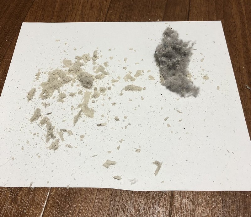 ダイソンv8を買ってから1ヶ月たったのでレビューしてみた ゆとりーまん Note ダイソンv8を買ってから1ヶ月たったのでレビューしてみた ゆとりーまん Note