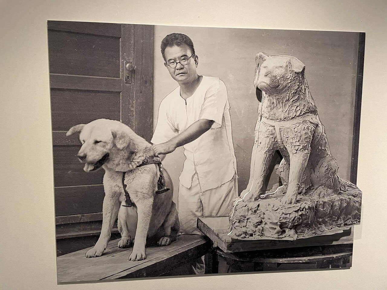 忠犬ハチ公像｜junjunn