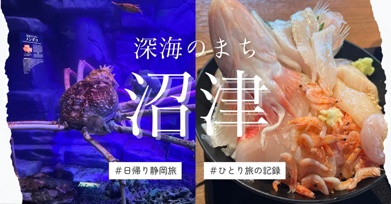 沼津港へ日帰り静岡旅行🚃深海の世界を満喫する4時間コースひとり旅｜江本