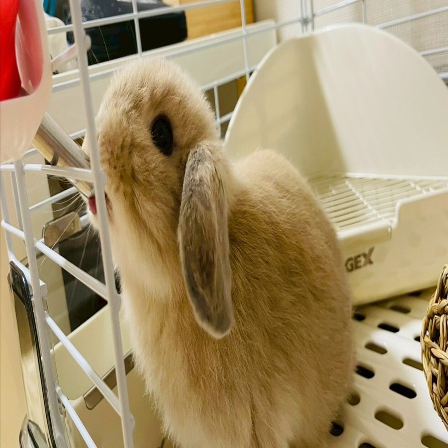 🗓【成長日記Part1】大切な家族が増えた日 ｜Masayuki.A