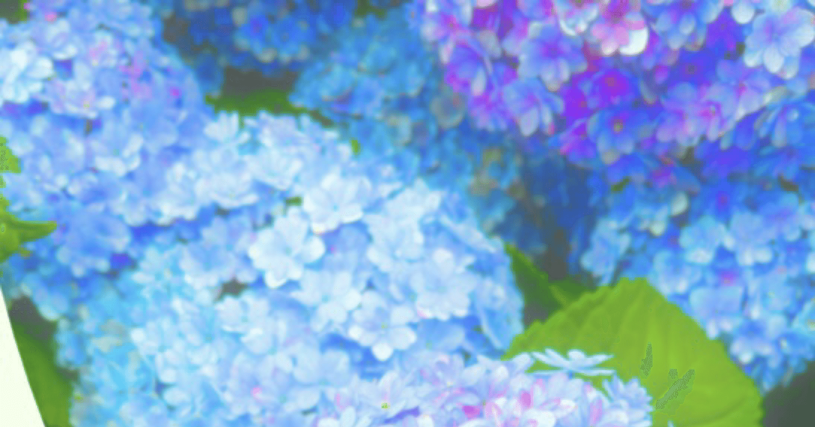 2冊目のZINEができました。｜藤崎殊海（Kotomi Fujisaki）