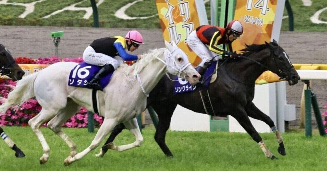 競馬予想　極4 Amazon.co.jp: ライト開発競馬予想 極4 : ホーム＆キッチン