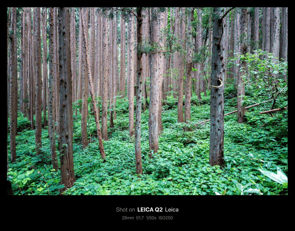 白馬村青鬼伝統的建造物群保存地区 / Hakuba Village Aoni