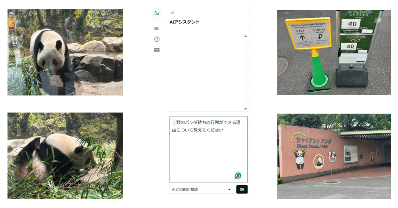 上野動物園のパンダに行列ができる理由は？noteのAIにきいてみた｜しも
