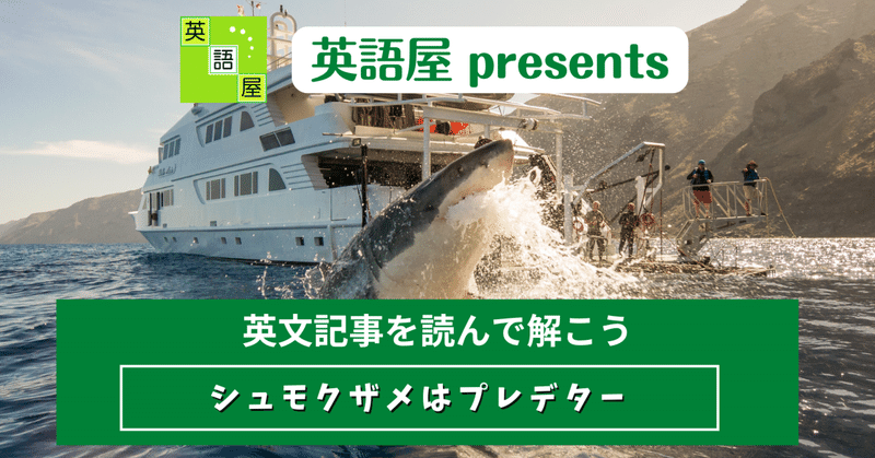【英文記事に挑戦 No.830】シュモクザメはプレデター