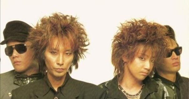 SALSAで行こう！｜domus