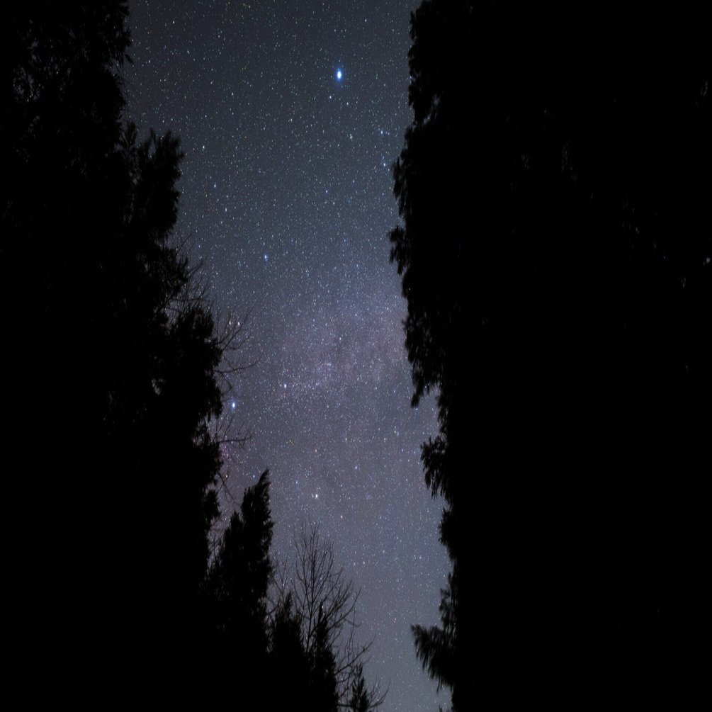 2025年前半を振り返る｜星空写真家・「好き」を「得意」に変える案内人