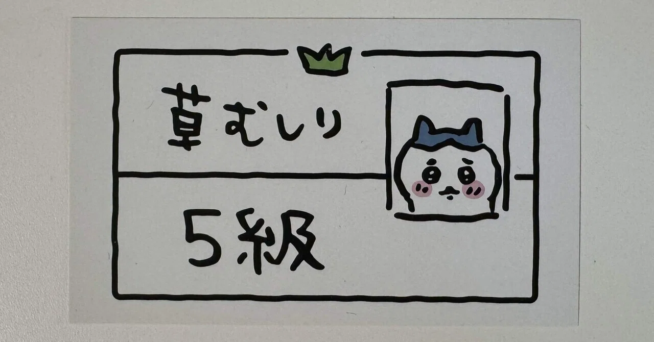 本 参考書問題集 処分前最終