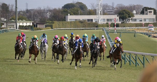 馬の瞳を見つめて 馬の瞳を見つめて