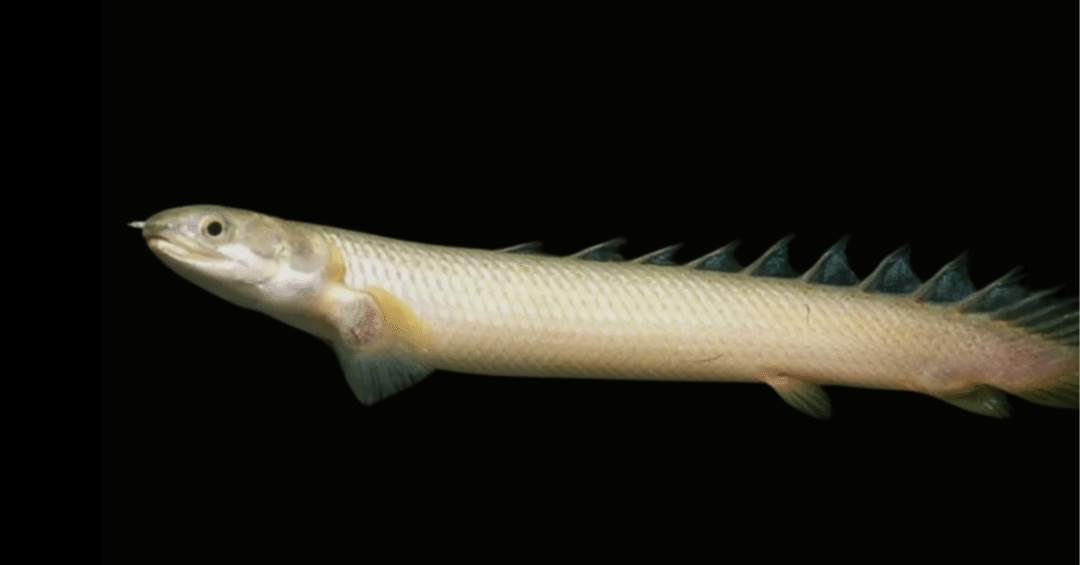 ee620c882e1692fd30a81ccf34d7e8