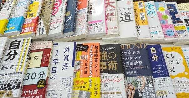 ビジネス書を100冊読んでうっすらバカにする大仕事【2年ぶり2